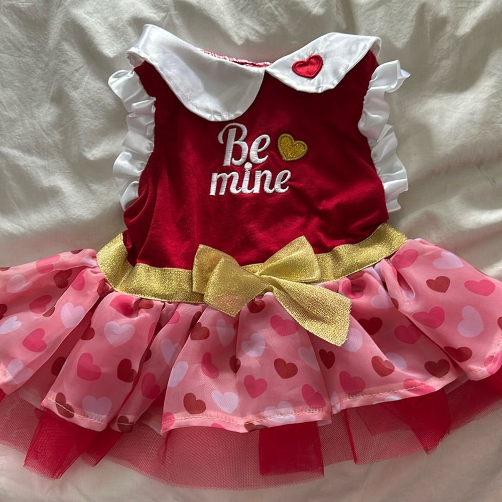 Gorgeous Be Mine Valentine’s Day dog dress in size medium